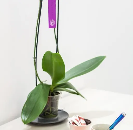 La Torre Alojamento de Acomodação e Pequeno-almoço 4*